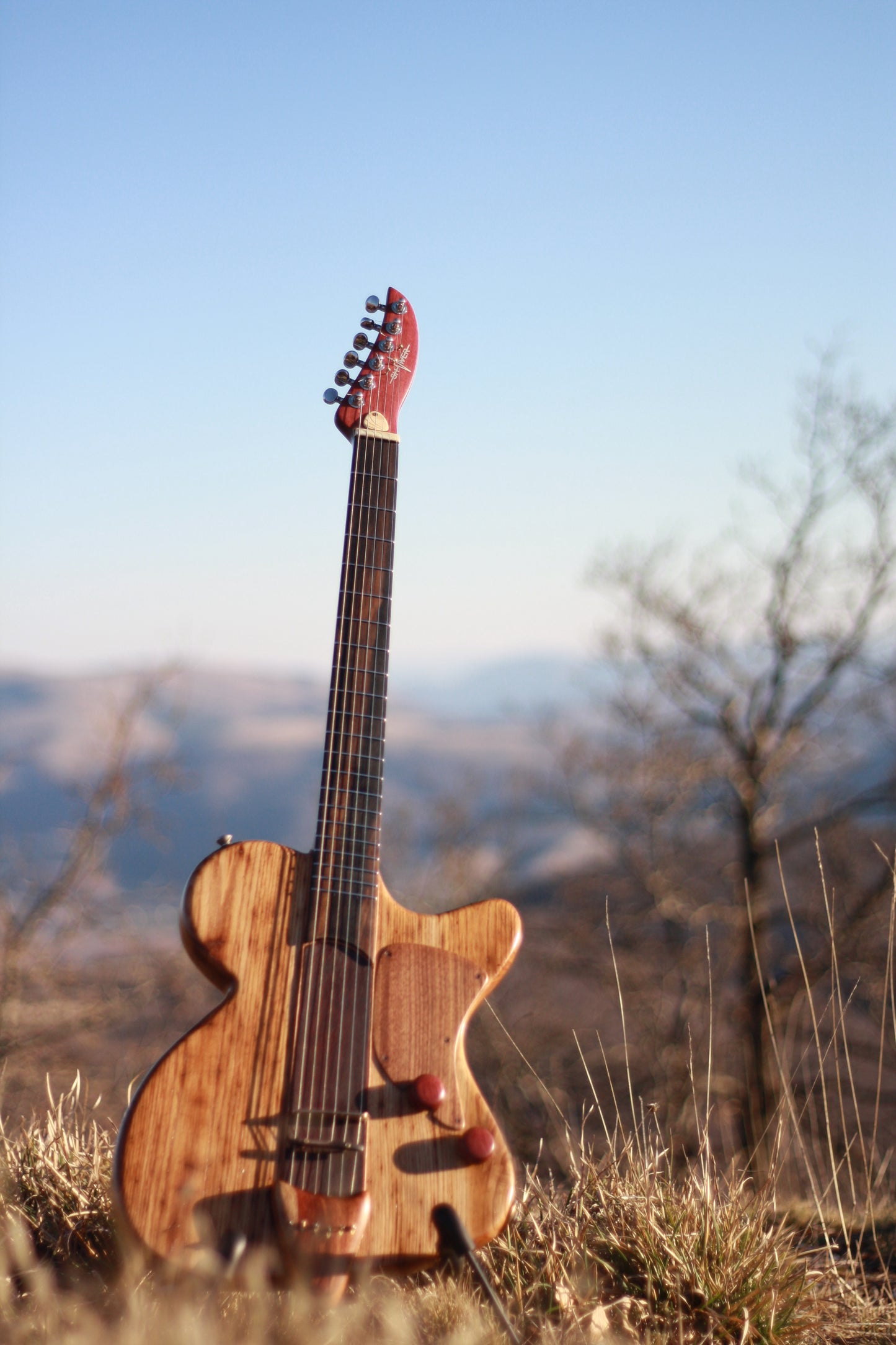 ShiverGuitar "F" natural